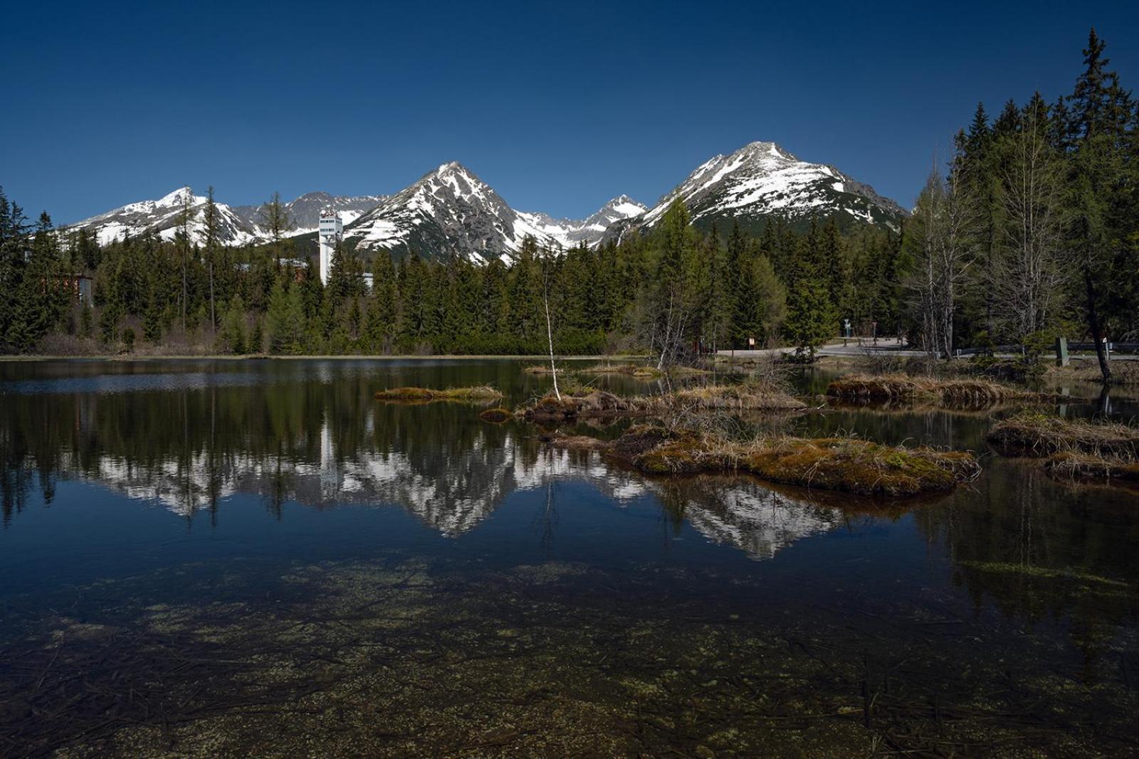 Studia Sprava Tanapu Daire Štrbské Pleso Dış mekan fotoğraf